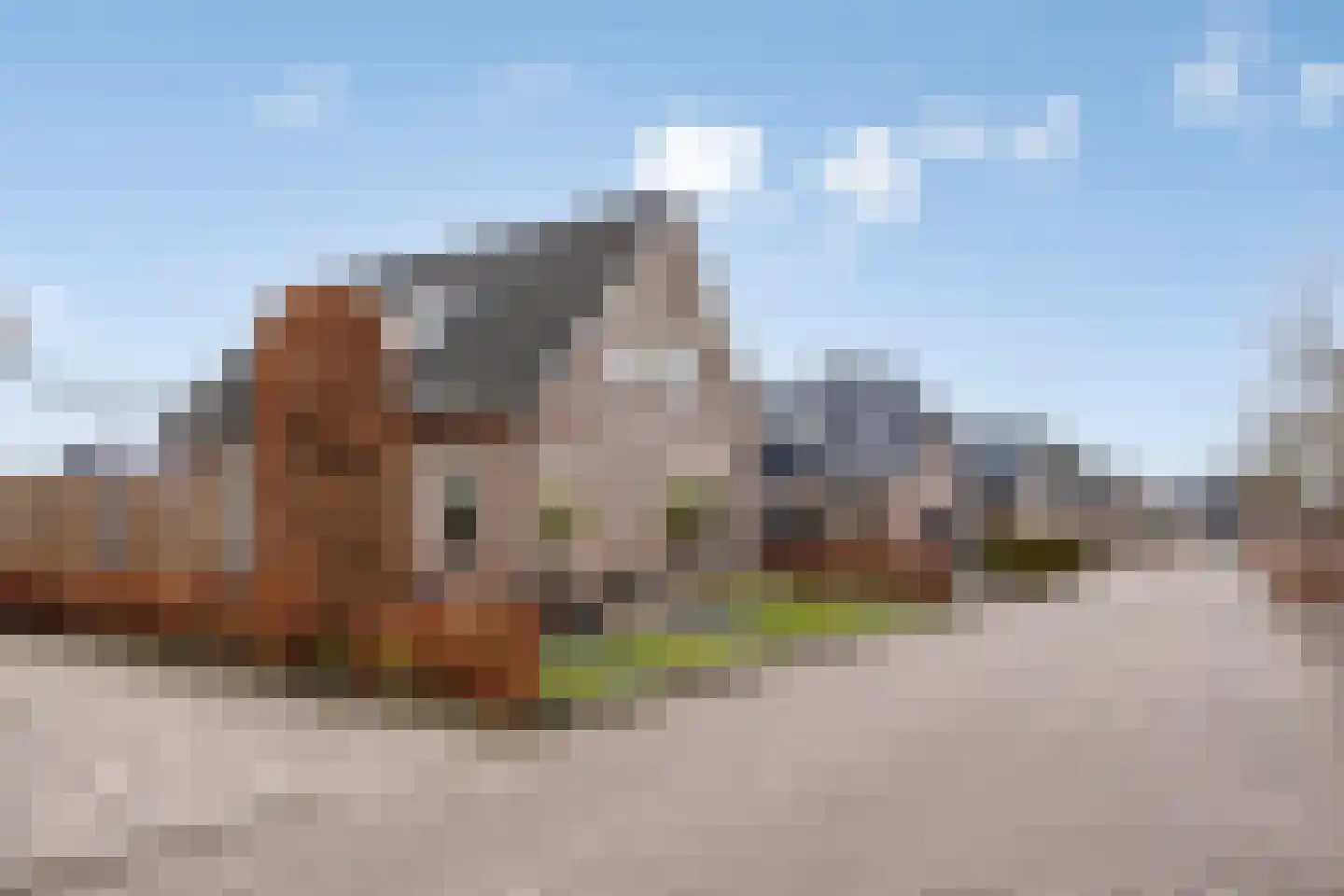 Lavendelheide 7 Weiteveen thumbnail 26