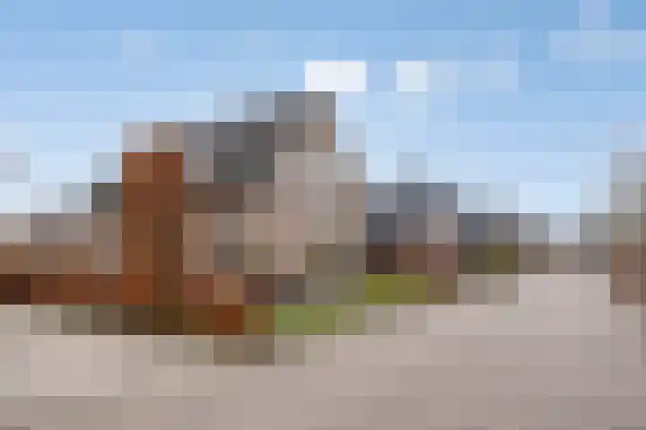 Lavendelheide 7 Weiteveen thumbnail 26