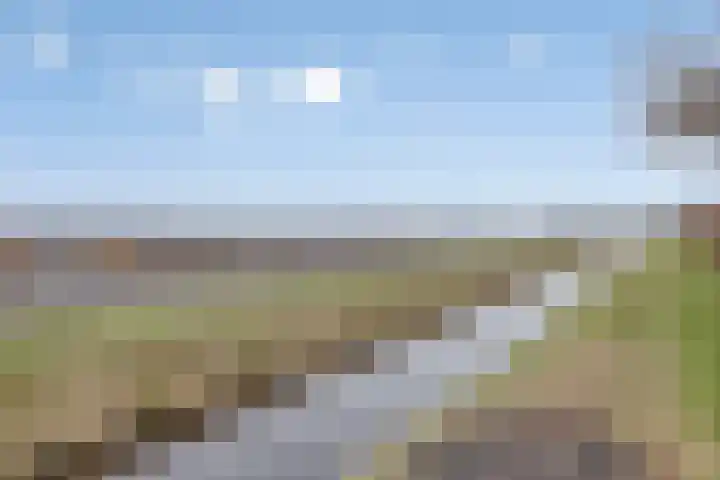 Lavendelheide 7 Weiteveen thumbnail 27