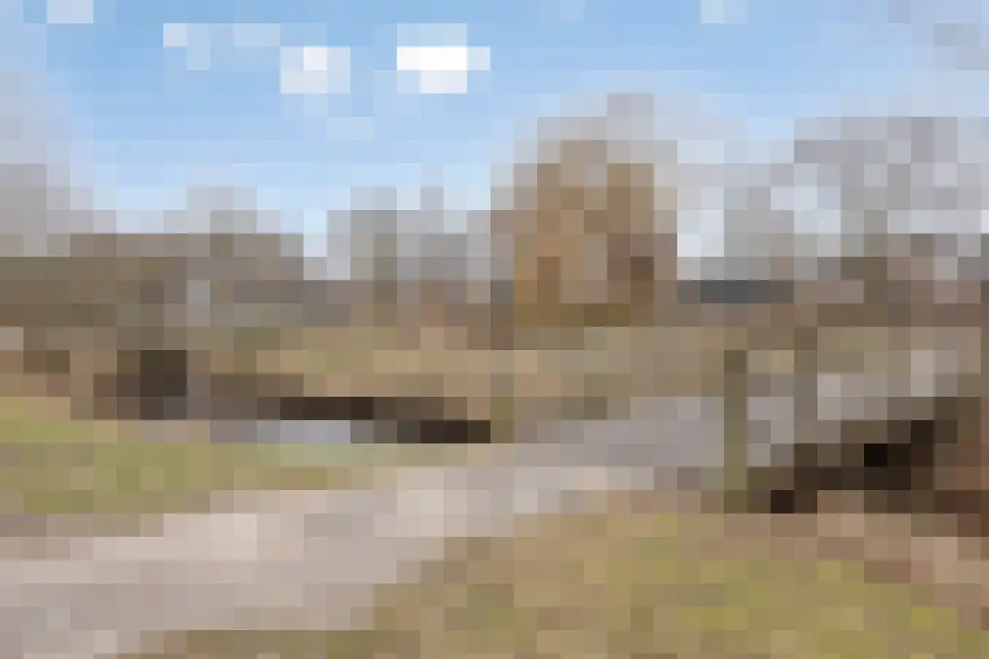 Lavendelheide 7 Weiteveen thumbnail 28