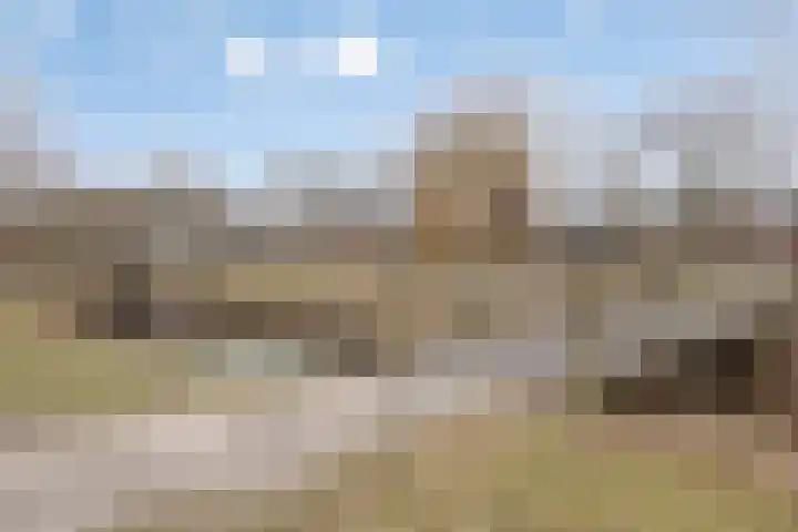 Lavendelheide 7 Weiteveen thumbnail 28