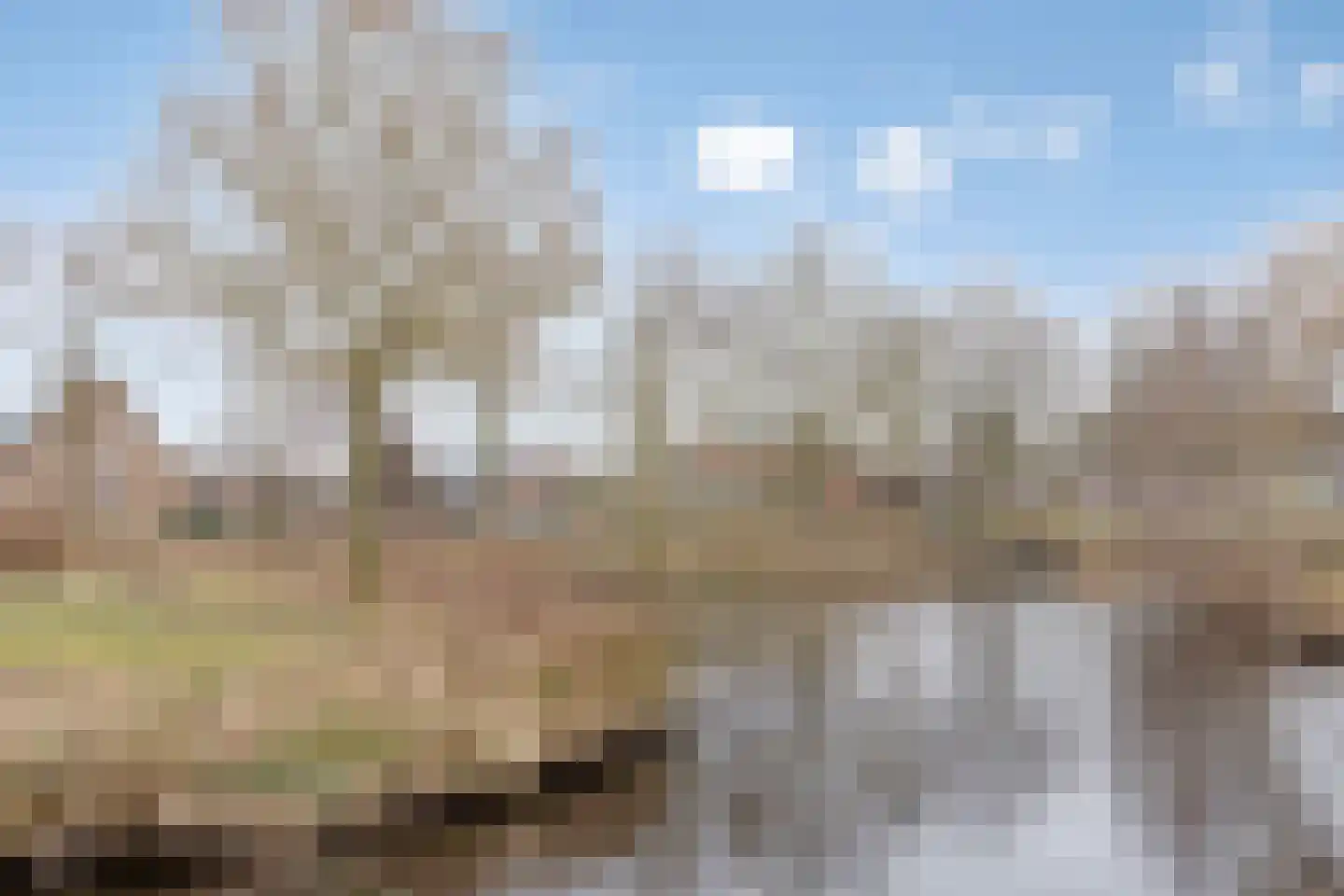 Lavendelheide 7 Weiteveen thumbnail 29