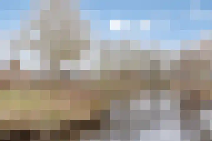 Lavendelheide 7 Weiteveen thumbnail 29