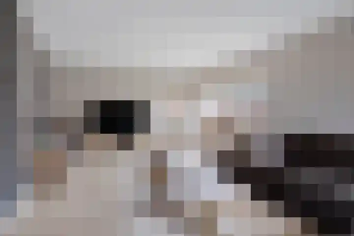Lavendelheide 7 Weiteveen thumbnail 5