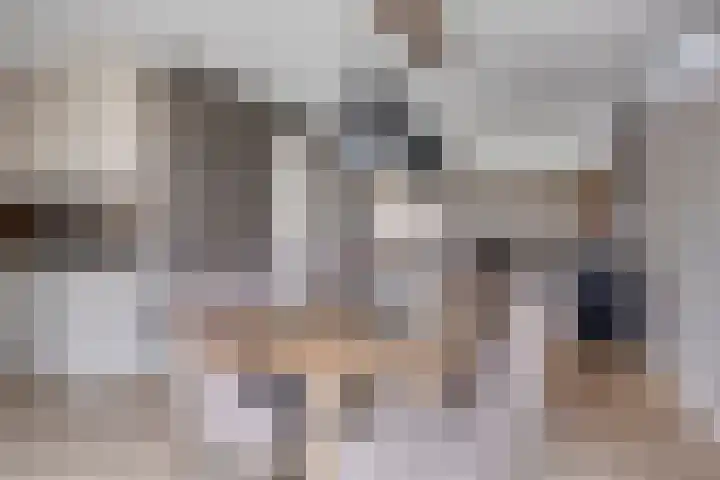 Lavendelheide 7 Weiteveen thumbnail 7