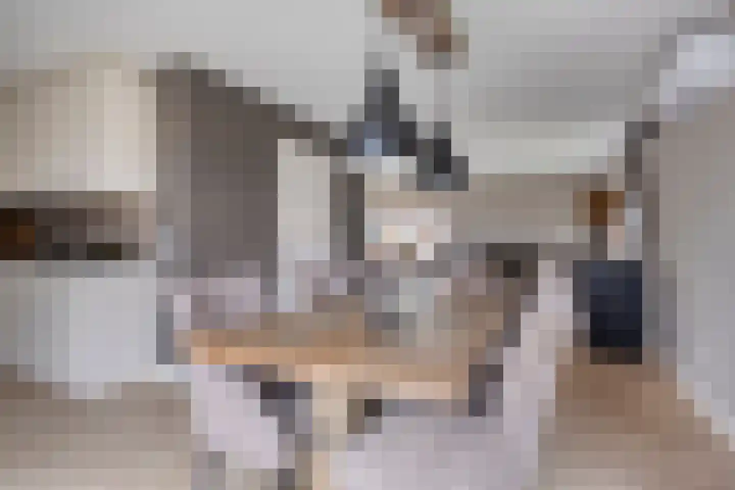 Lavendelheide 7 Weiteveen thumbnail 7