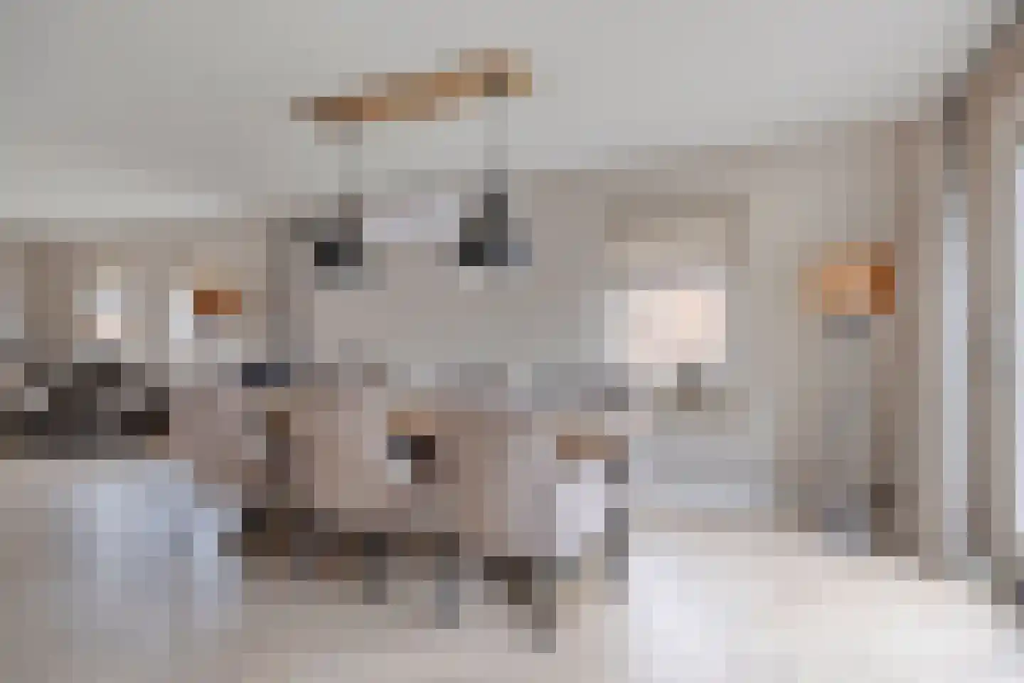 Lavendelheide 7 Weiteveen thumbnail 8