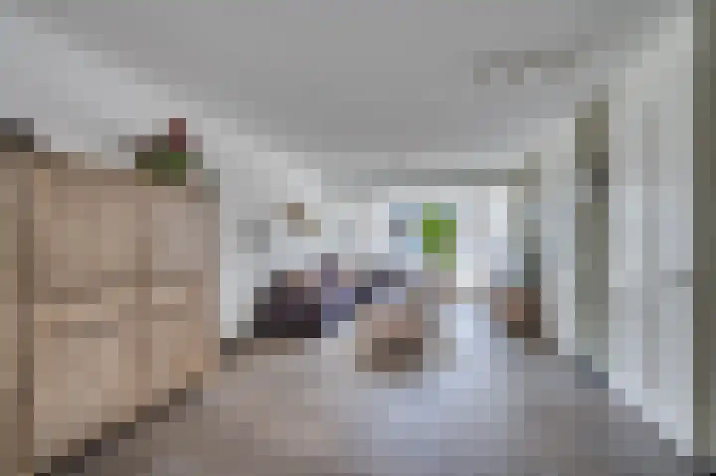 Lavendelheide 8 Reuver thumbnail 12