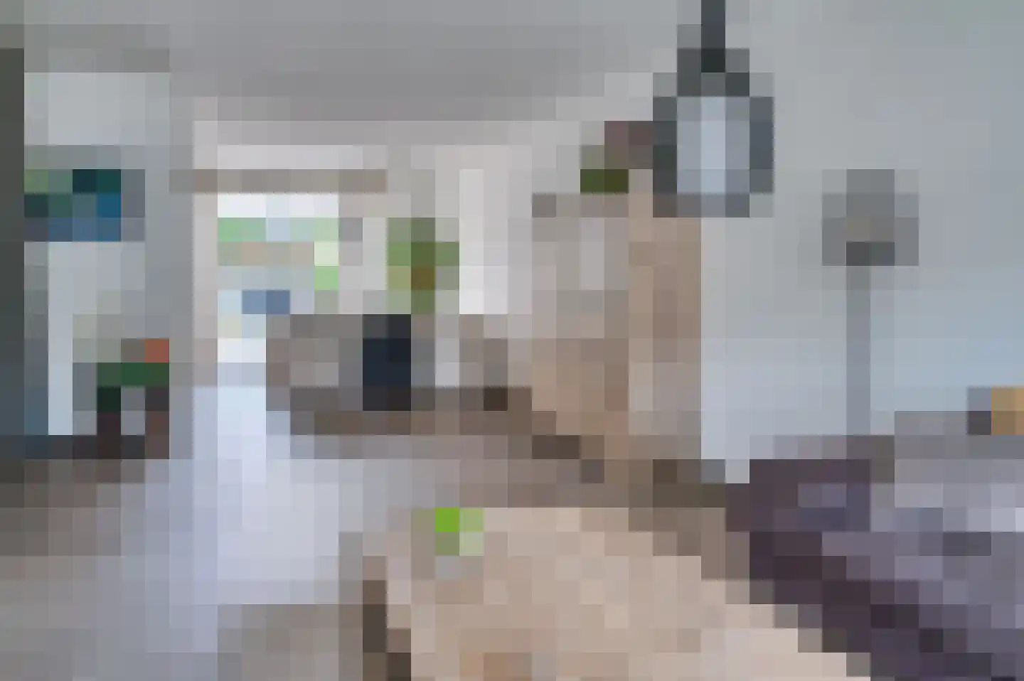 Lavendelheide 8 Reuver thumbnail 15