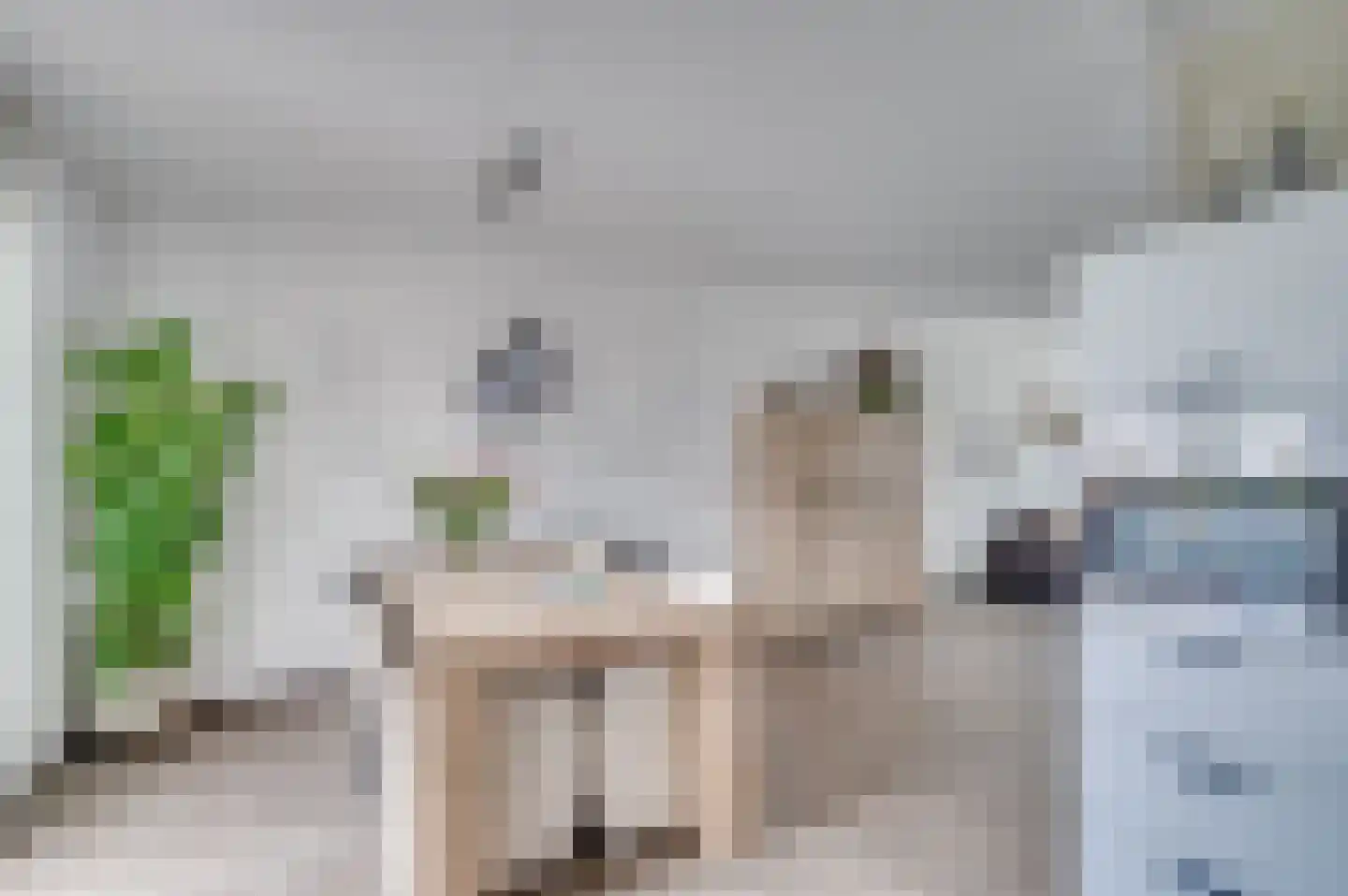 Lavendelheide 8 Reuver thumbnail 23