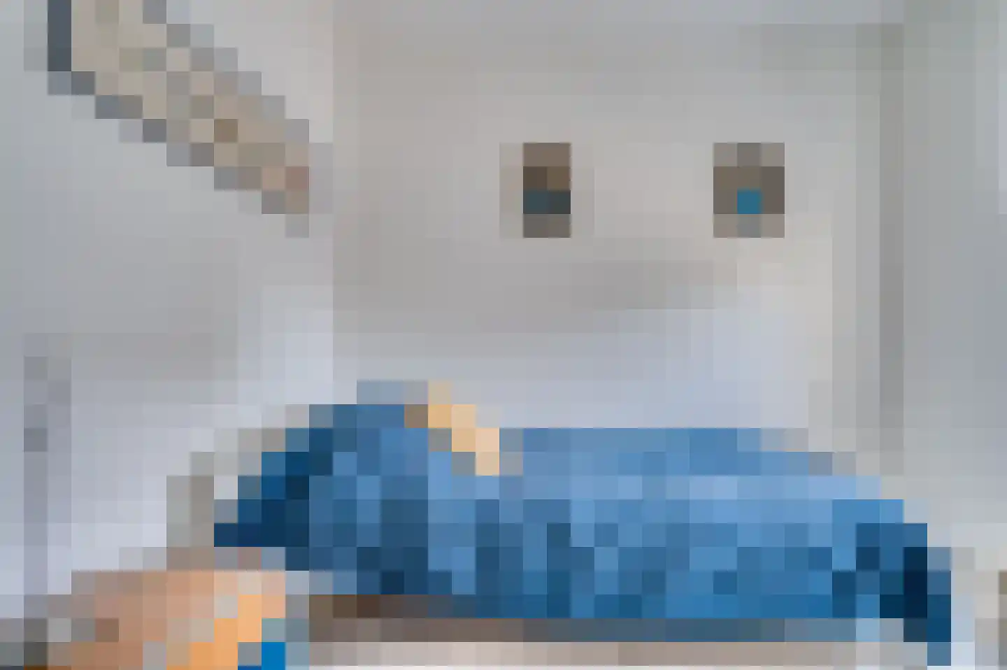 Lavendelheide 8 Reuver thumbnail 37