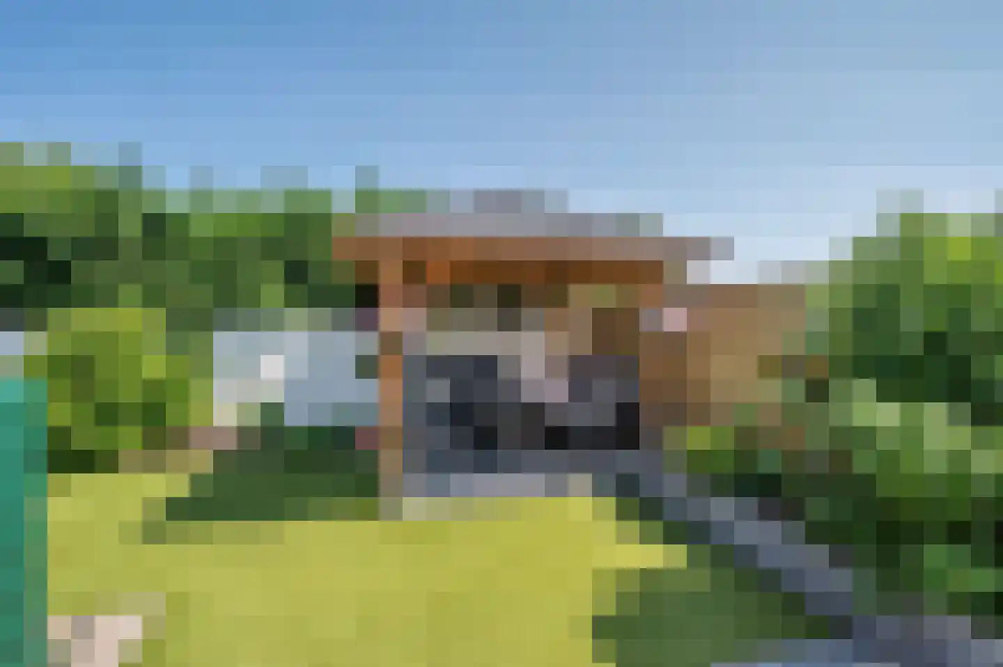 Lavendelheide 8 Reuver thumbnail 49
