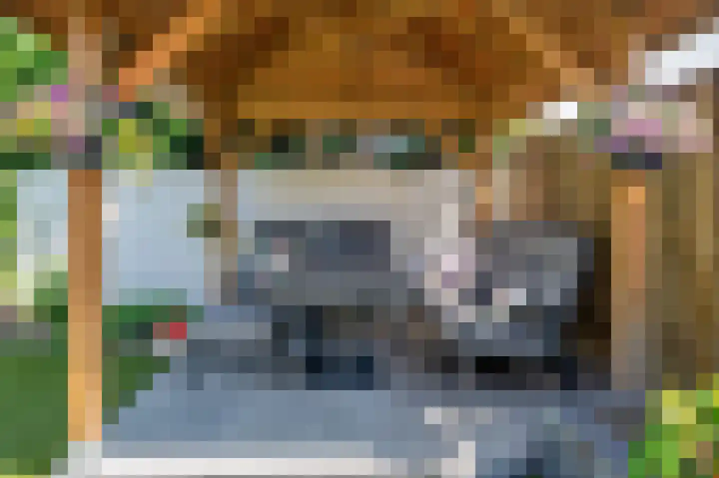 Lavendelheide 8 Reuver thumbnail 50