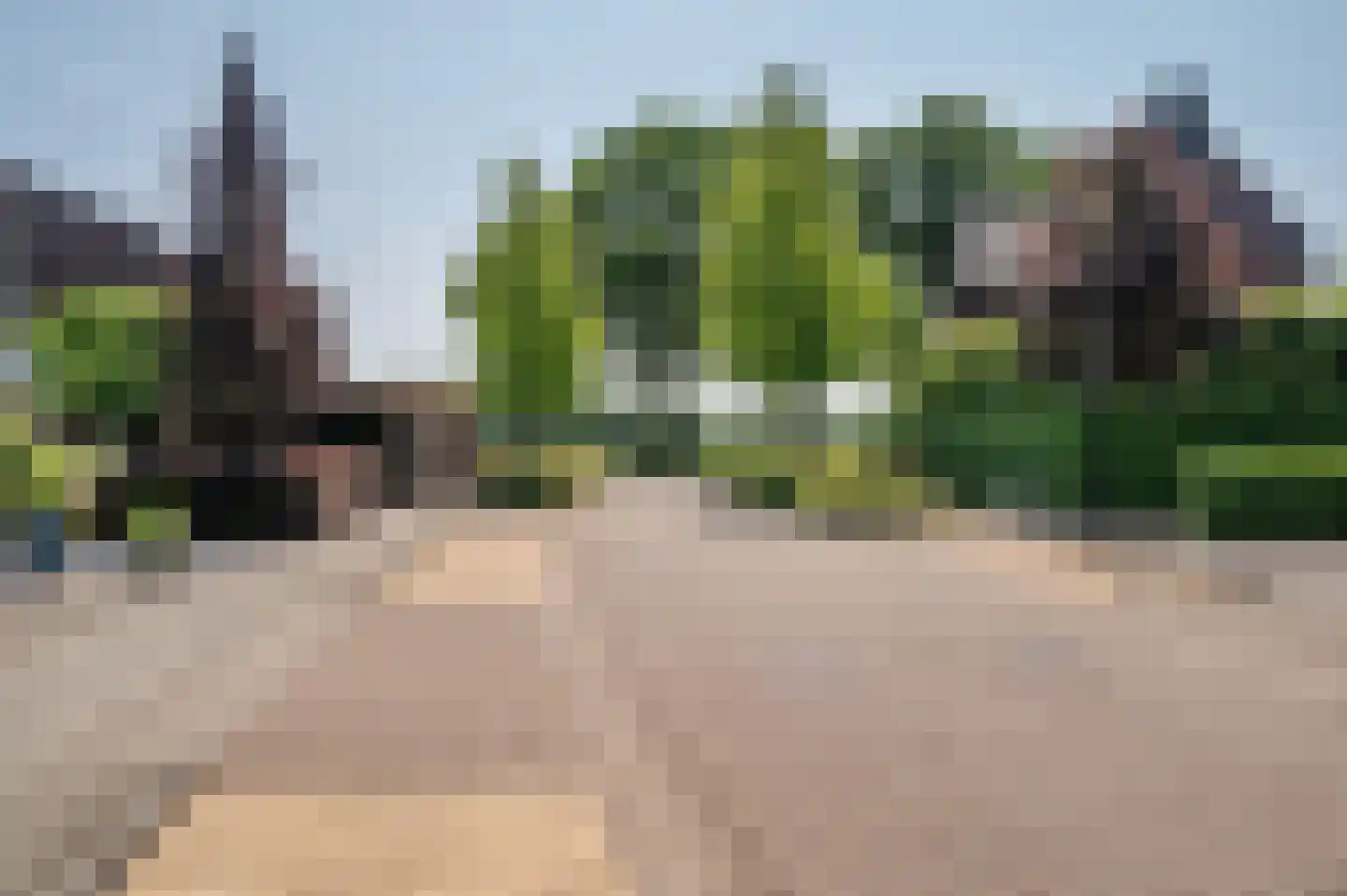 Lavendelheide 8 Reuver thumbnail 58