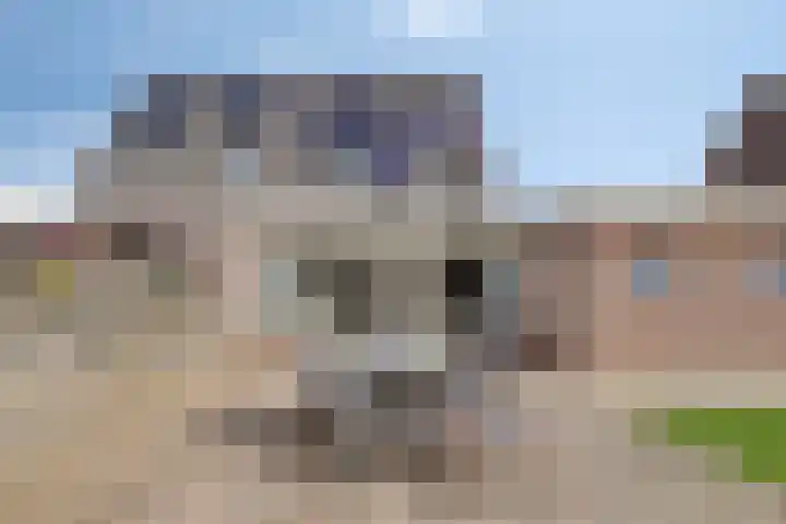 Lavendelheide 8 Weiteveen thumbnail 35