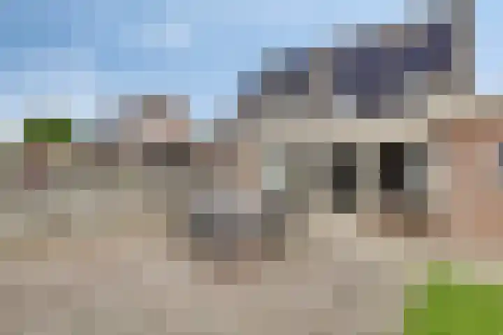 Lavendelheide 8 Weiteveen thumbnail 36