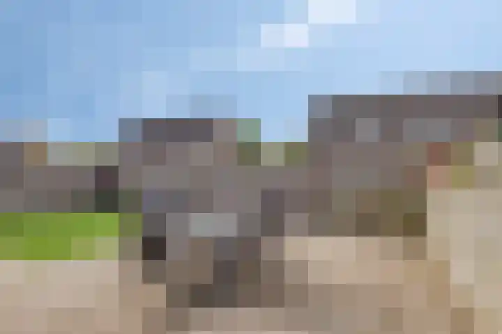 Lavendelheide 8 Weiteveen thumbnail 37