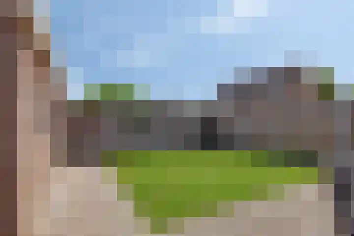 Lavendelheide 8 Weiteveen thumbnail 38