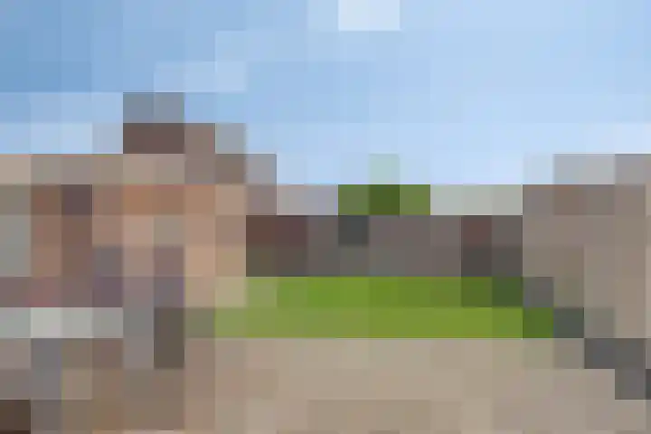 Lavendelheide 8 Weiteveen thumbnail 39