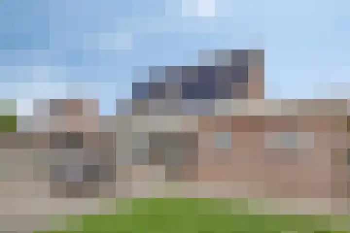 Lavendelheide 8 Weiteveen thumbnail 40