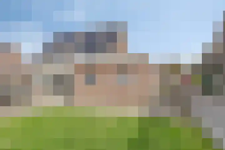 Lavendelheide 8 Weiteveen thumbnail 41
