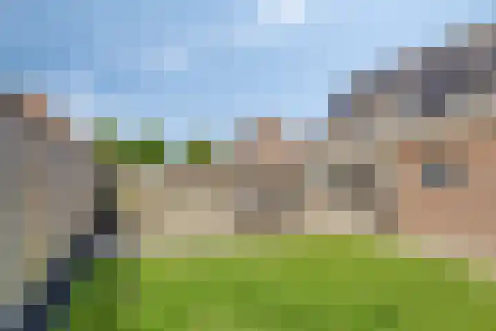 Lavendelheide 8 Weiteveen thumbnail 42