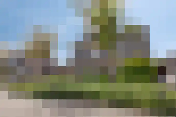 Lavendelheide 8 Weiteveen thumbnail 43