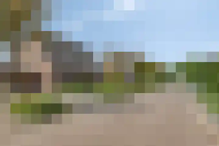 Lavendelheide 8 Weiteveen thumbnail 44