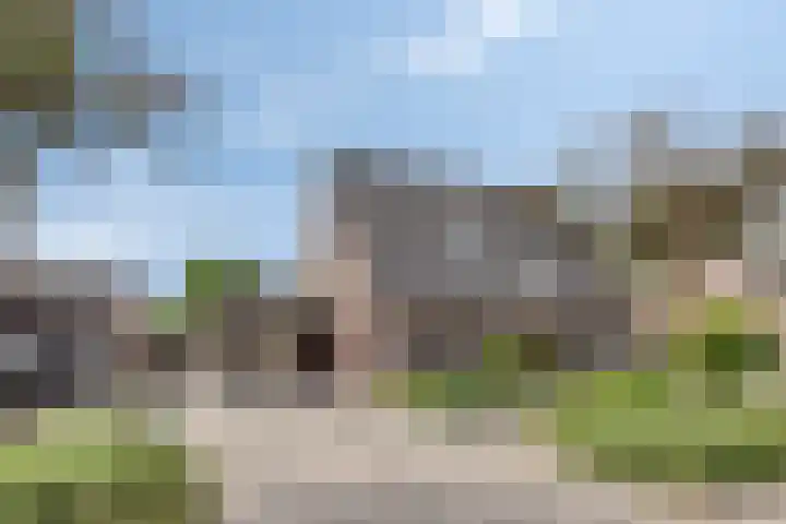 Lavendelheide 8 Weiteveen thumbnail 45