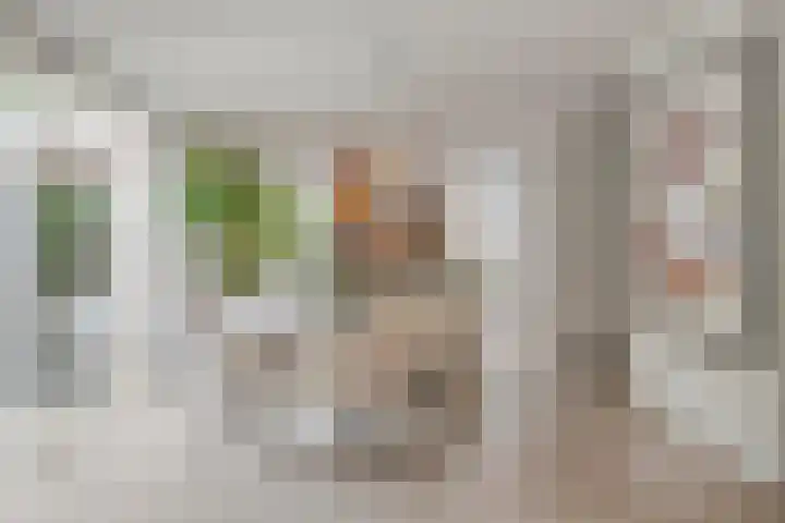 Lavendelhof 12 Barendrecht thumbnail 15