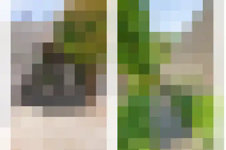 Lavendelhof 12 Barendrecht thumbnail 4
