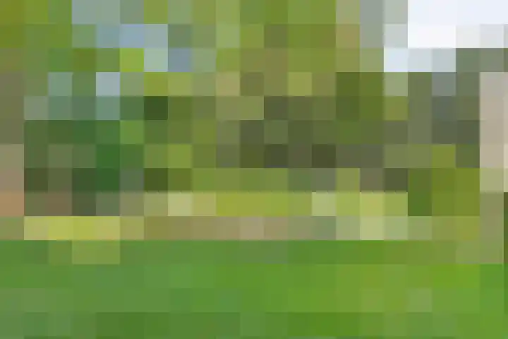 Lavendelhof 12 Barendrecht thumbnail 55