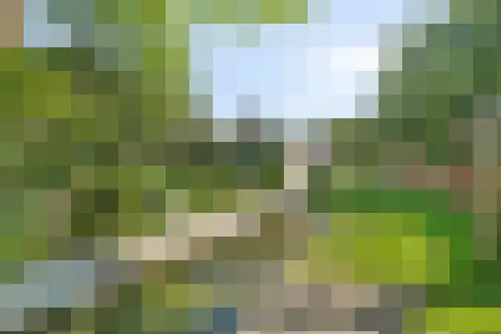Lavendelhof 12 Barendrecht thumbnail 56