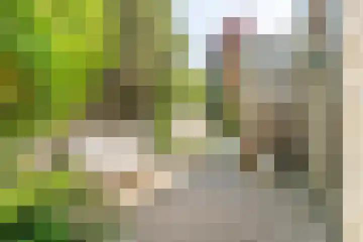 Lavendelhof 12 Barendrecht thumbnail 58