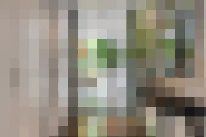 Lavendelhof 12 Barendrecht thumbnail 7