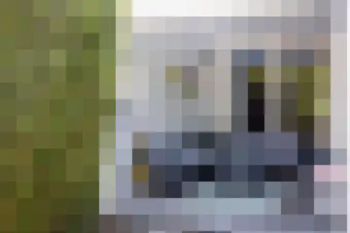 Lavendelhof 12 Roermond thumbnail 15