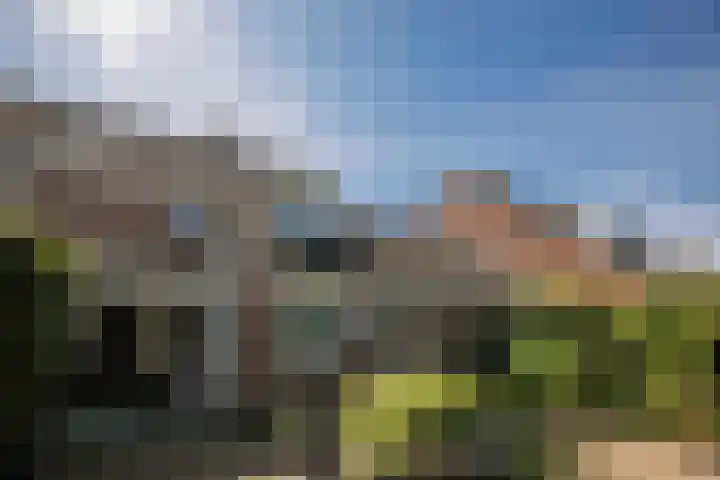 Lavendelhof 12 Roermond thumbnail 16