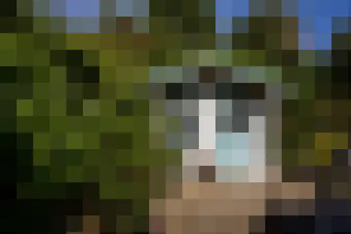 Lavendelhof 12 Roermond thumbnail 17