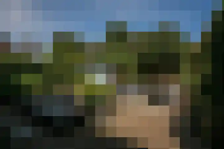 Lavendelhof 12 Roermond thumbnail 18