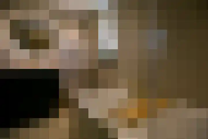 Lavendelhof 12 Roermond thumbnail 21