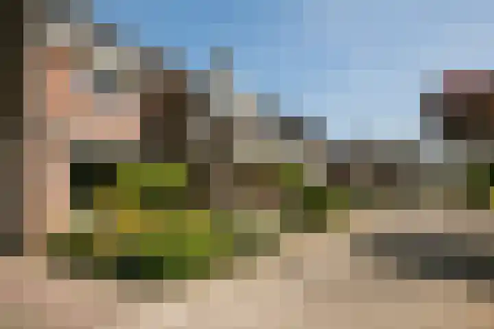 Lavendelhof 12 Roermond thumbnail 32