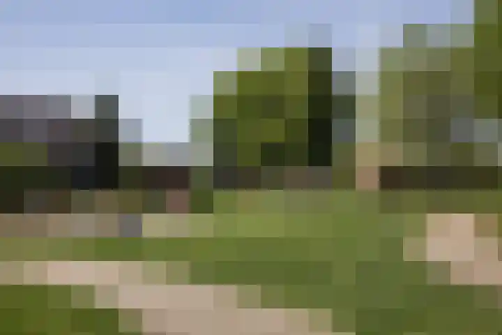 Lavendelhof 12 Roermond thumbnail 33