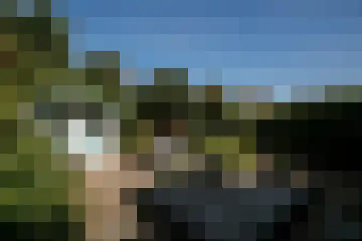 Lavendelhof 12 Roermond thumbnail 5