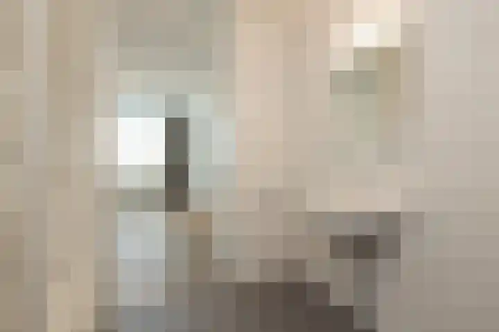 Lavendelhof 15 Oegstgeest thumbnail 17