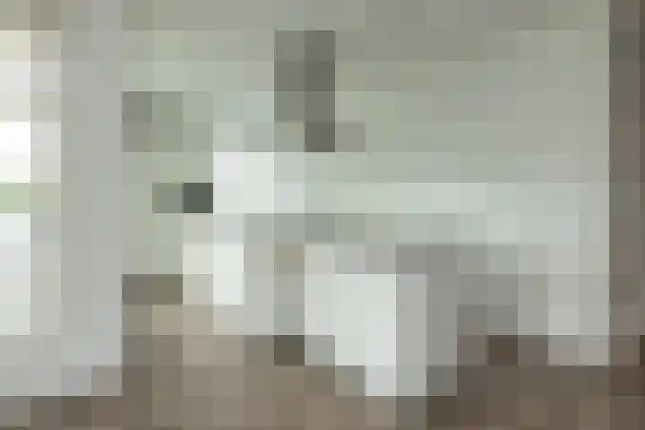 Lavendelhof 15 Oegstgeest thumbnail 35