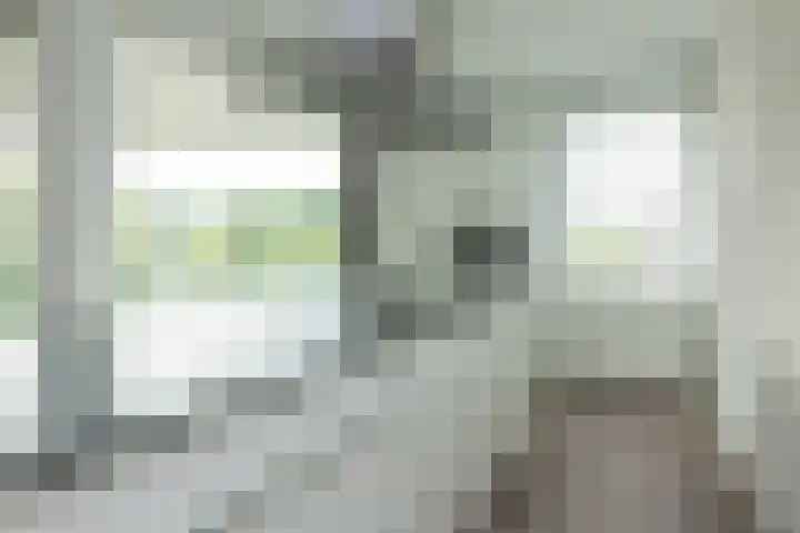 Lavendelhof 15 Oegstgeest thumbnail 36