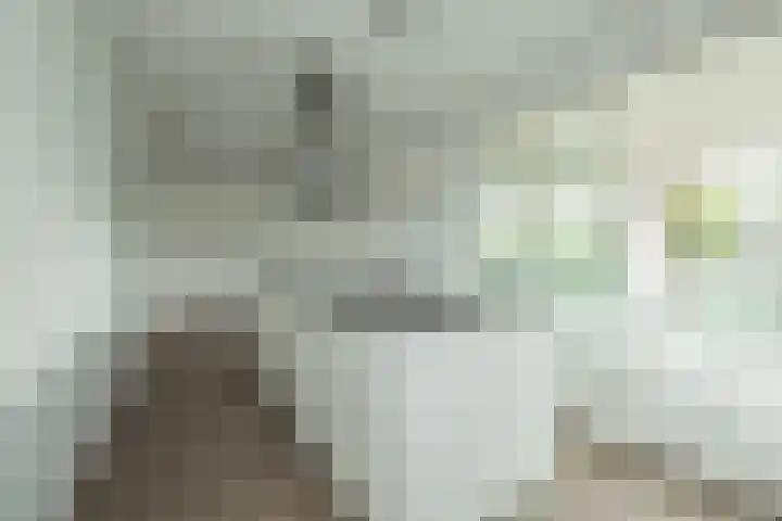 Lavendelhof 15 Oegstgeest thumbnail 37