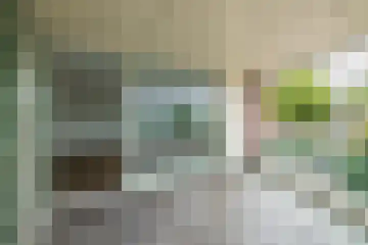 Lavendelhof 15 Oegstgeest thumbnail 39