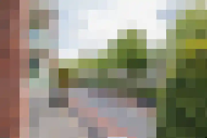 Lavendelhof 15 Oegstgeest thumbnail 40