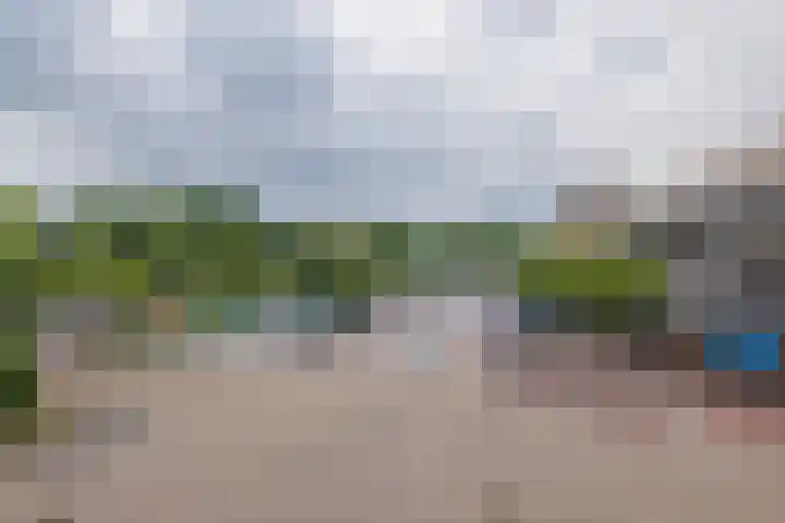 Lavendelhof 15 Oegstgeest thumbnail 41